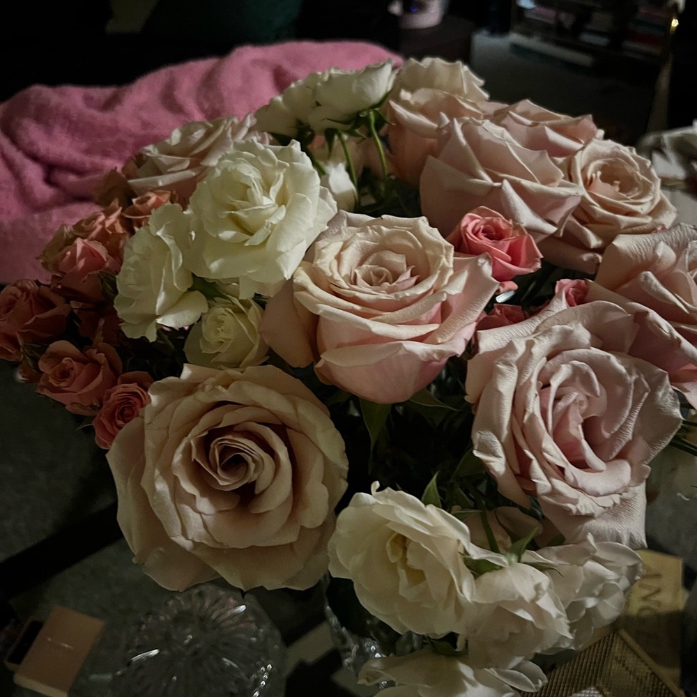 Meet your Posher, Vanessa